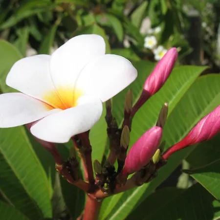 Casalice Nel Cuore Di * リーパリ